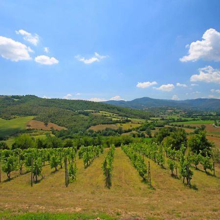 Locazione Turistica Montebello Monterchi Esterno foto